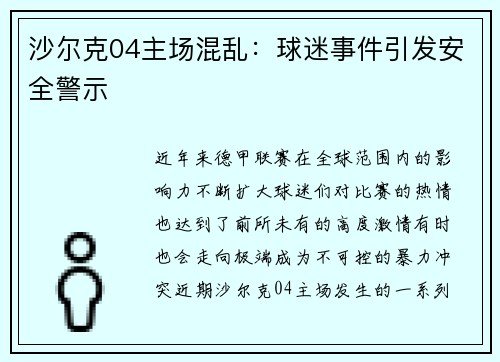 沙尔克04主场混乱：球迷事件引发安全警示